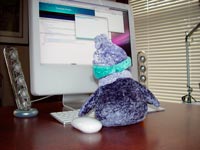 Pengee working at the computer.