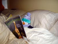 Pengee reading in bed.